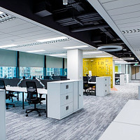 Art Style Коллекция Shared Path Shared Path 924 фото 4 | FLOORDEALER